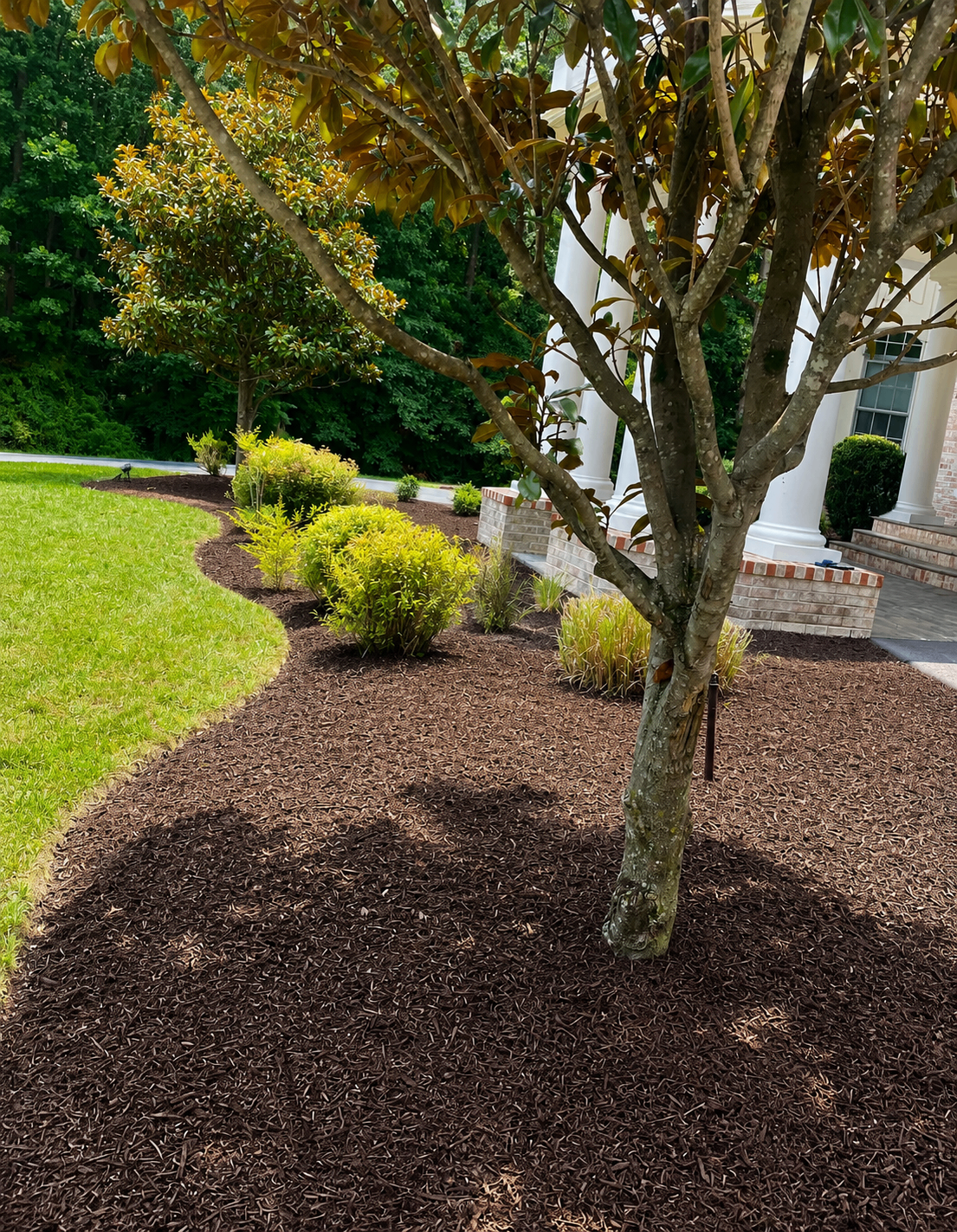 Fresh mulch bed with plantings
